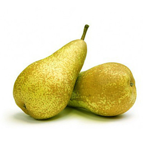 large_Груша_Конференция